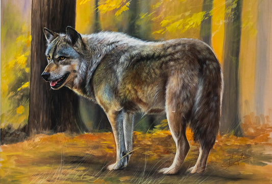 **Original Gouache a. Papier v. Christiane Vleugels (*1963 Antwerpen), Einsamer Wolf im spätsommerlichen Wald**